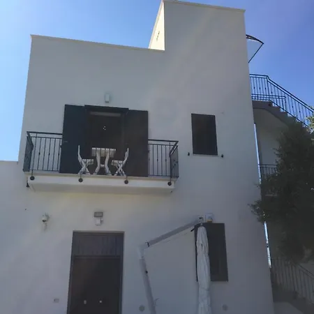 Ulividamare * مونوبولي